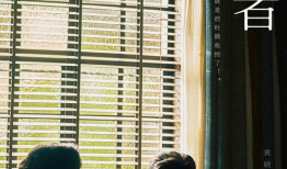 潜伏者电视剧,暗流涌动的谍影风云