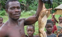 真实吃瓜爆料恐怖事件,真实吃瓜爆料，恐怖事件背后惊人真相